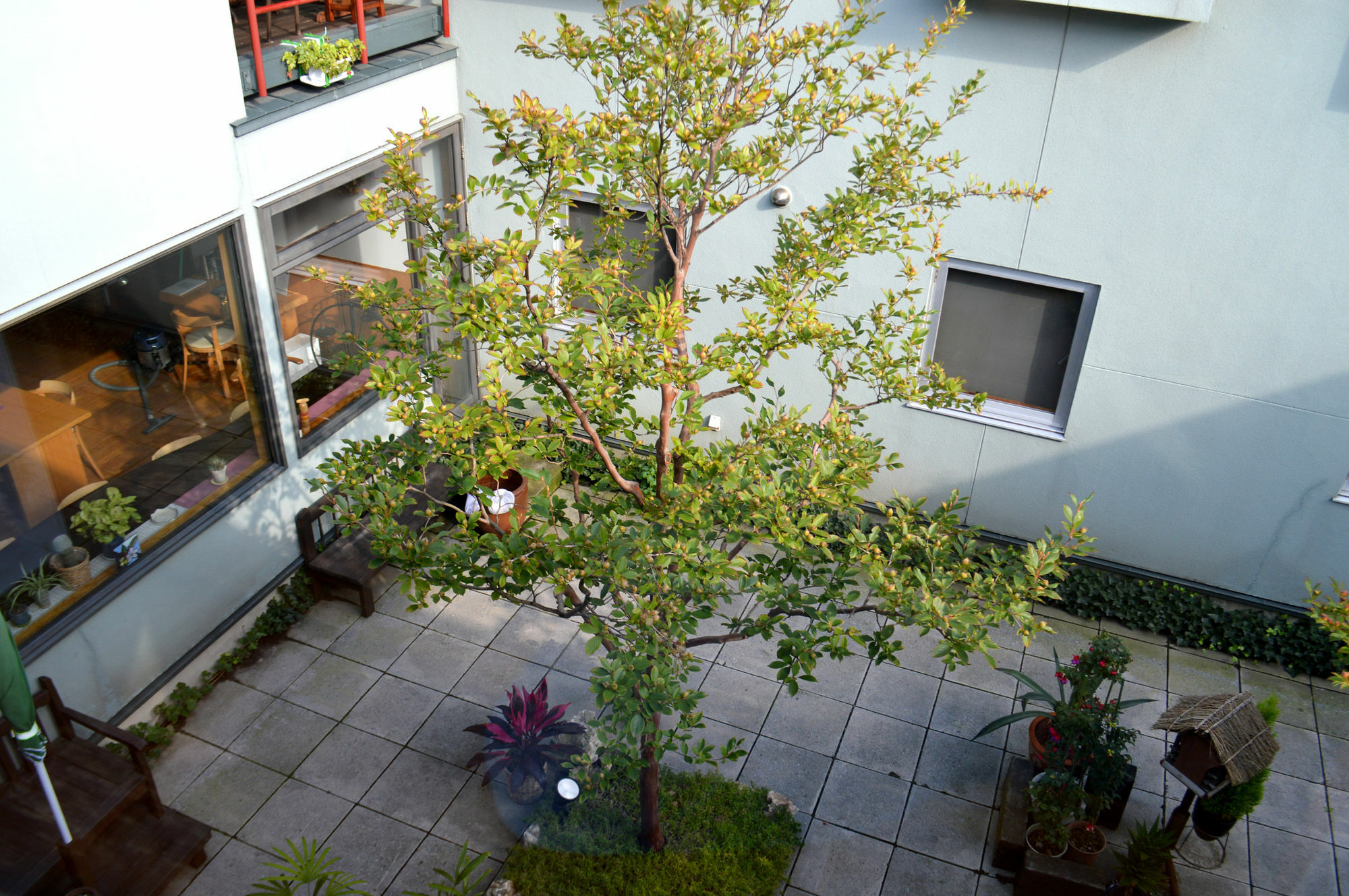 B&B Pension Hakodate-Mura Eksteriør bilde